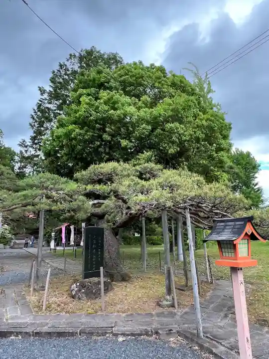 月岡神社(山形県)