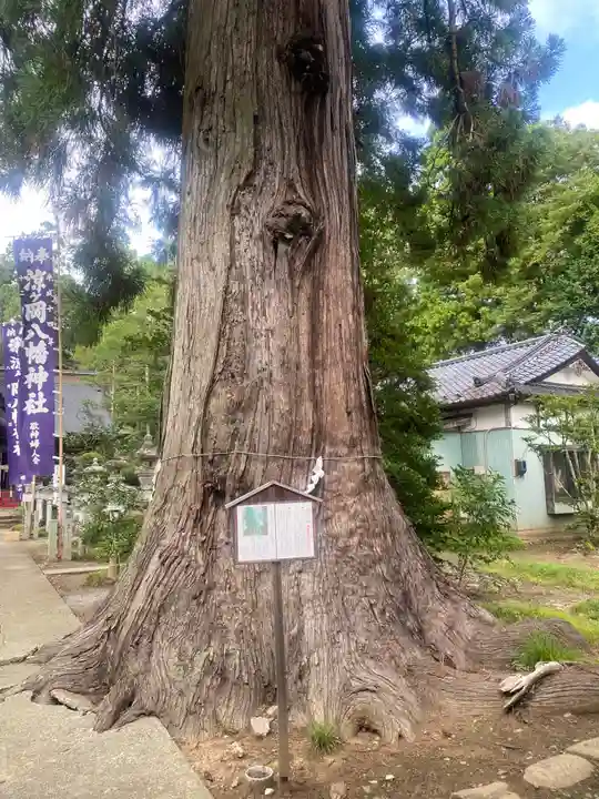 涼ケ岡八幡神社(福島県)