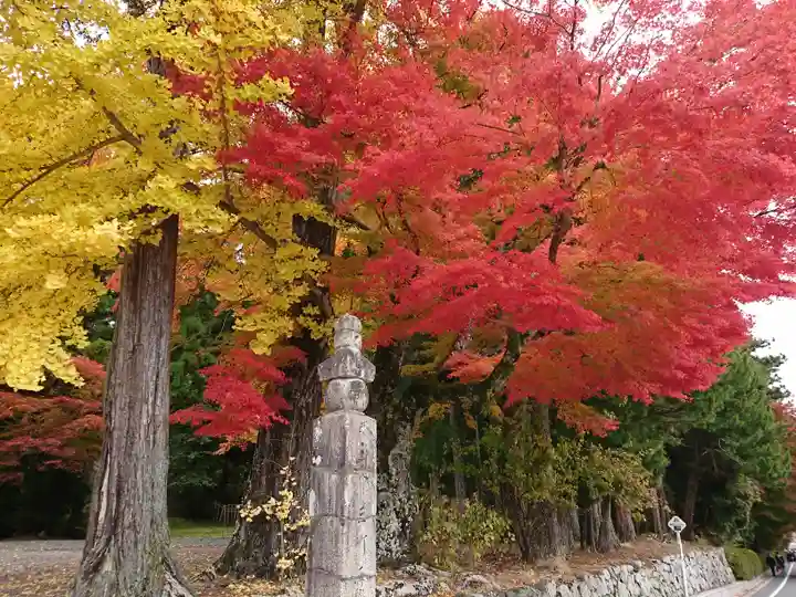 壇上伽藍の自然