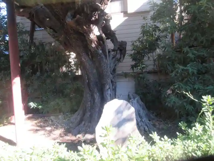 延命院(東京都)