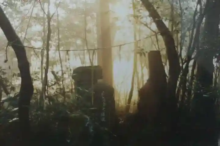 麻賀多神社(千葉県)