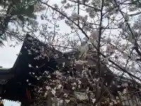 大歳神社(山口県)