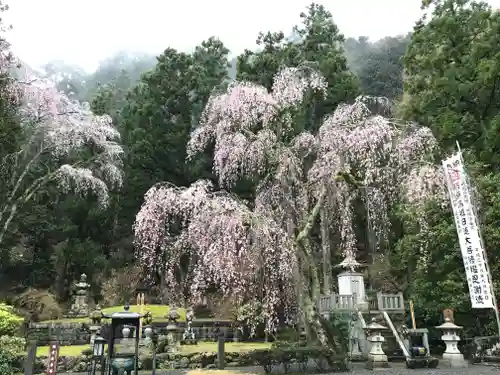 身延山 祖廟拝殿の景色