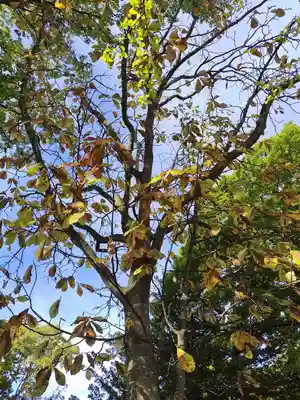 厚別神社(北海道)