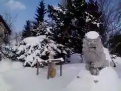 上手稲神社の狛犬