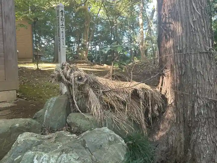 氷川女體神社(埼玉県)