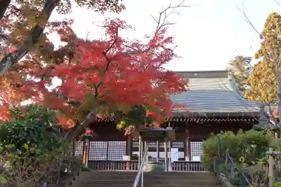 本土寺(千葉県)