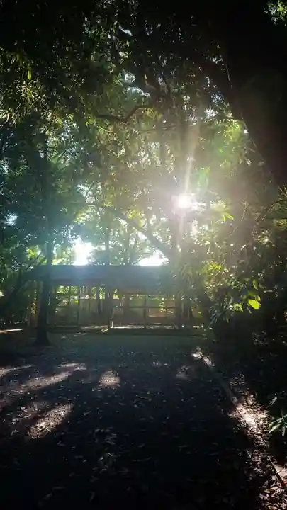 尾張大國霊神社(国府宮)の自然