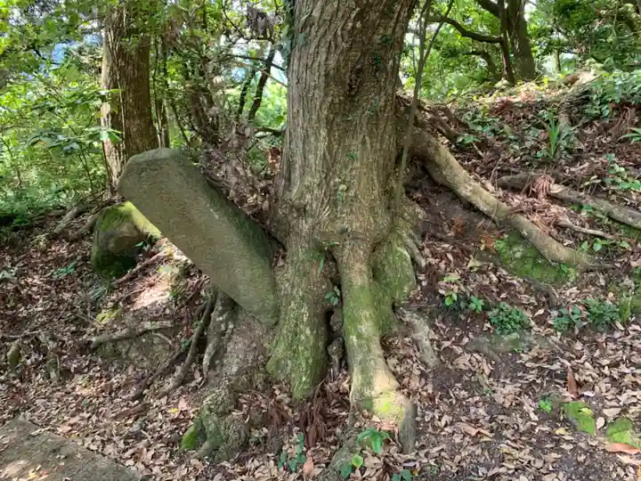 高藏神社の自然