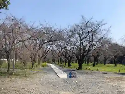 平野神社(京都府)