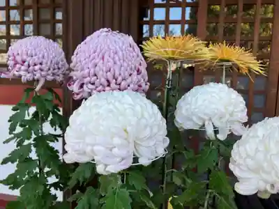 亀戸天神社(東京都)