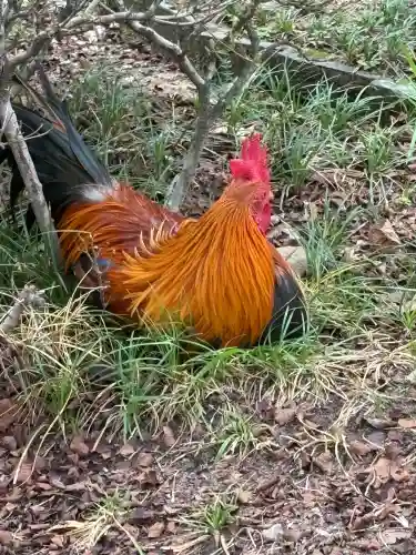 熱田神宮(愛知県)