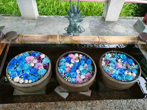 津島神社の手水舎