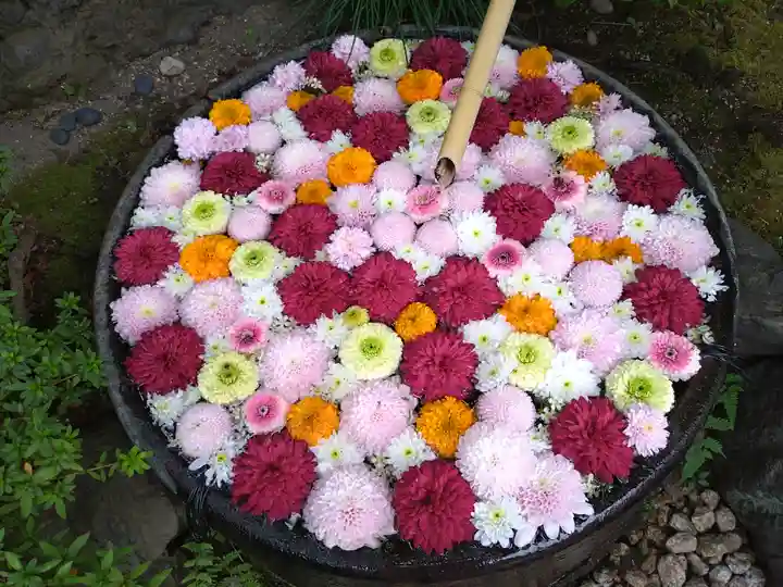 心行寺(東京都)