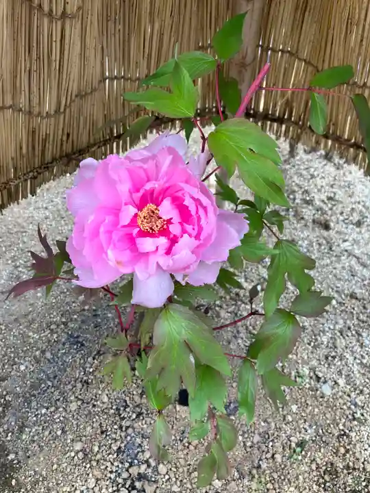 當麻寺 奥院(奈良県)