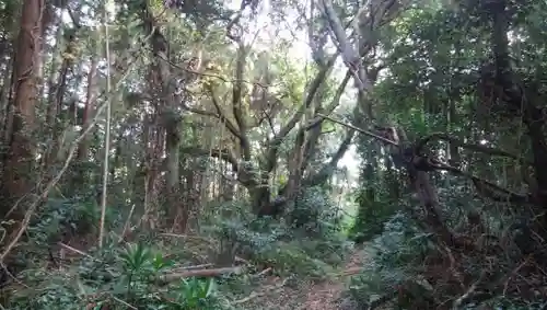 坂戸神社の自然