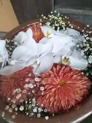 多賀神社の手水舎