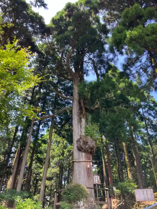 身延山奥之院思親閣(山梨県)