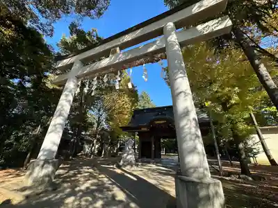 小野神社の鳥居