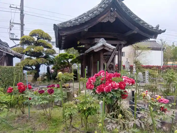 本覚寺(岐阜県)