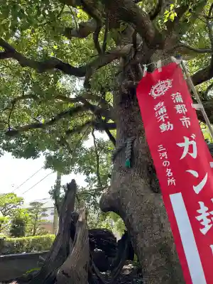 無量寺(愛知県)