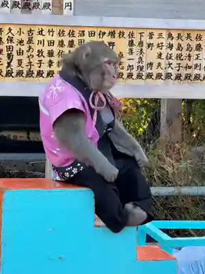 亀戸天神社(東京都)