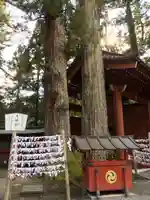 日光二荒山神社の自然