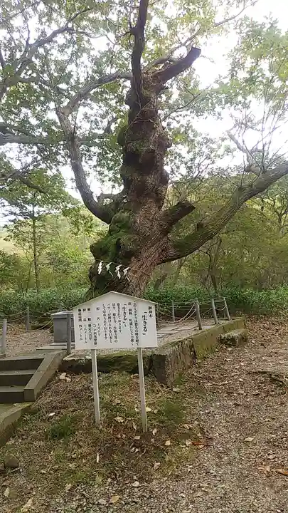那須温泉神社の自然