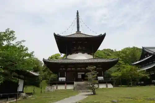 根来寺の塔