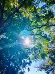 鹿嶋神社(茨城県)