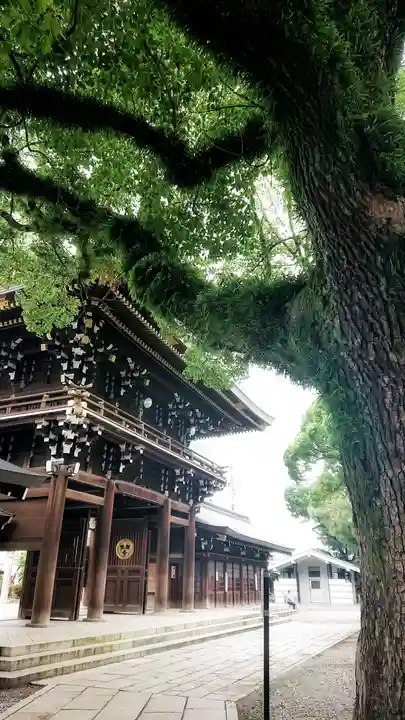 真清田神社の山門・神門