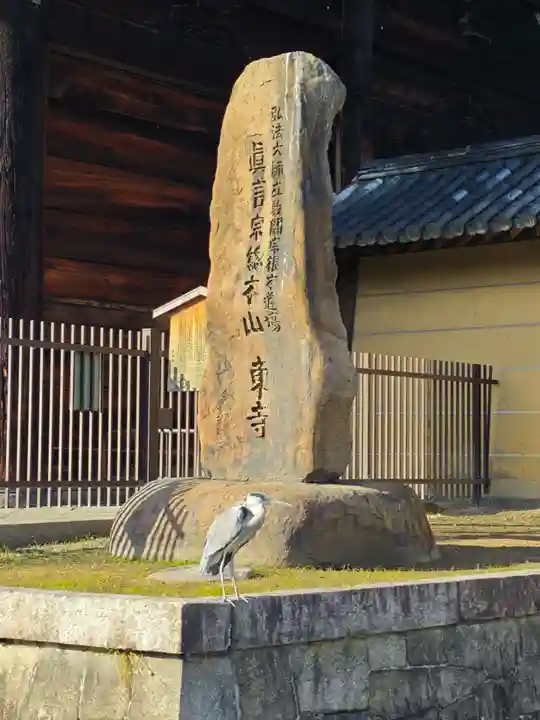 東寺(教王護国寺)(京都府)