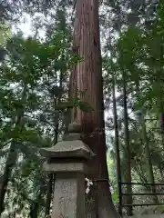 金持神社(鳥取県)