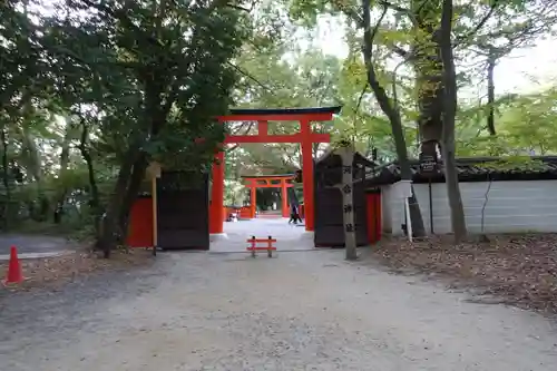 河合神社（鴨川合坐小社宅神社）の鳥居