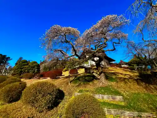 志波彦神社・鹽竈神社(宮城県)