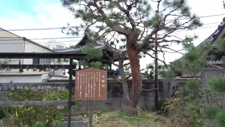 慈観寺(広島県)