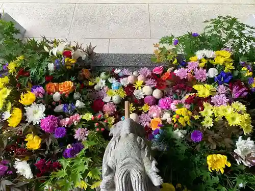 滑川神社 - 仕事と子どもの守り神の手水