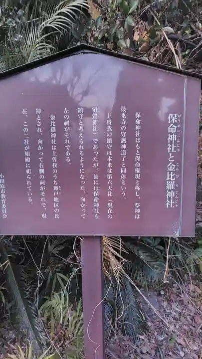 保命神社(神奈川県)