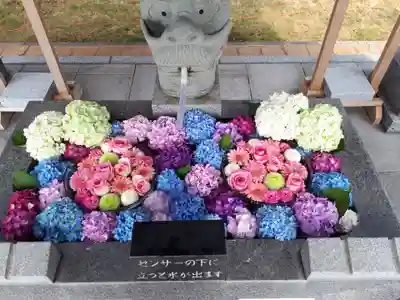 新川皇大神社の手水舎