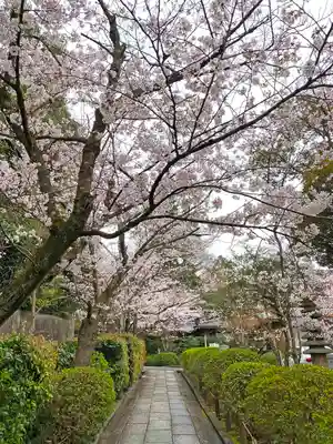 興正寺別院（本山興正寺霊山本廟）の自然