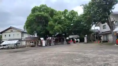 吉祥院天満宮(京都府)