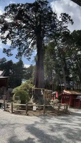 北口本宮冨士浅間神社(山梨県)