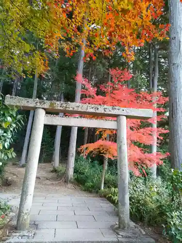 圓光寺の鳥居