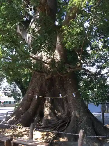 天地神社の自然