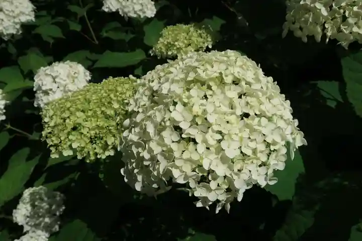 性海寺(愛知県)