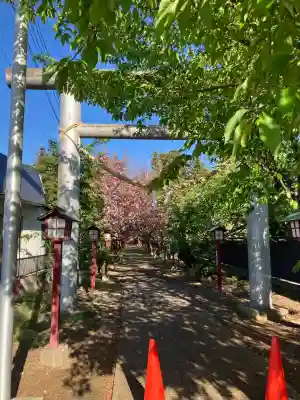 橿原神社の{uncategorized: "未分類", other: "その他", undefined: "問題あり", building: "その他建物", grave: "お墓", sacred_gate: "鳥居", guardian: "狛犬", statue: "像", buddha: "仏像", history: "歴史", nature: "自然", garden: "庭園", animal: "動物", pagoda: "塔", temizu: "手水舎", mountain_gate: "山門・神門", sanctuary: "本殿・本堂", subordinate: "末社・摂社", art: "芸術", scenery: "景色", jizo: "地蔵", ema: "絵馬", goshuin: "御朱印", omikuji: "おみくじ", items: "授与品その他", amulet: "お守り", goshuincho: "御朱印帳", eats: "食事", festival: "お祭り", votive_dance: "神楽", shichigosan: "七五三参", wedding: "結婚式", experience: "体験その他", initially: "初詣", around: "周辺", anti_infection: "感染症対策"}