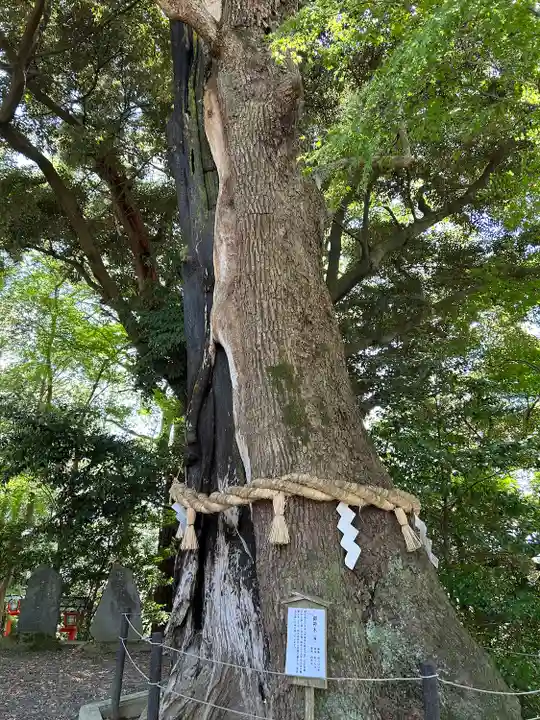 常陸國總社宮(茨城県)
