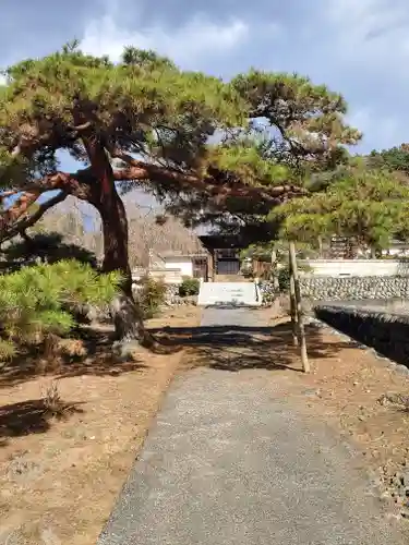 光泰寺のその他建物