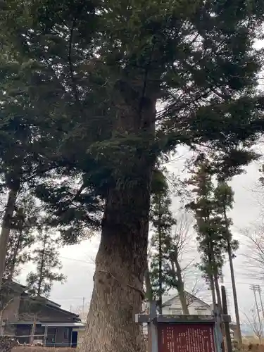 大宮神社の自然