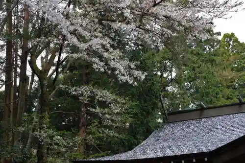 王宮伊豆神社の自然